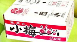 小梅 白王 【秀品】 2Lサイズ（約1kg) 和歌山県産 ふるさと物産品