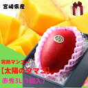 予約販売!完熟マンゴー【太陽のタマゴ】 赤秀 3L(約450g以上×1個) (糖度15度以上) JA宮崎【送料無料 ※但し北海道・沖縄別途送料1,500円】