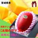 予約販売!完熟マンゴー【太陽のタマゴ】 赤秀 4L(約510g以上×1個) (糖度15度以上) JA宮崎【送料無料 ※但し北海道・沖縄 別途送料1,500円】