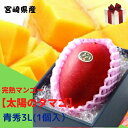 予約販売!完熟マンゴー【太陽のタマゴ】 青秀 3L(約450g以上×1個) (糖度15度以上) JA宮崎 【送料無料 ※但し北海道・沖縄 別途送料1,500円】