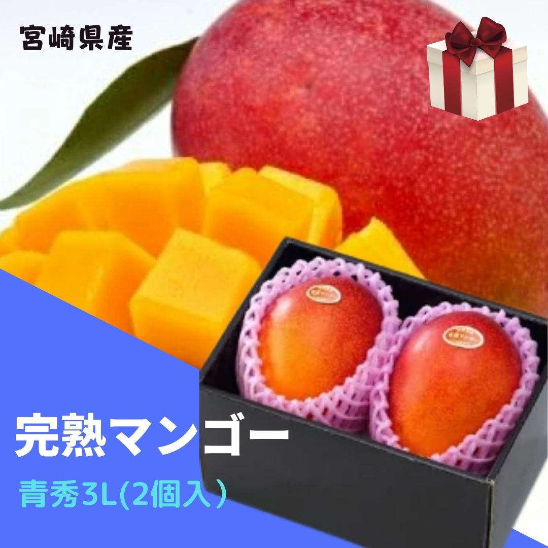 完熟マンゴー 【青秀】 3L(約450g以上×2個) 「情熱みやざきブランド！」