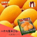 ハウス茂木びわ 【赤秀】Lサイズ12個入り(500g) 化粧箱入り「長崎県産」 その1