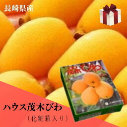 ハウス茂木びわ 【赤秀】大粒2Lサイズ9個入り(500g) 化粧箱入り 「長崎県産」