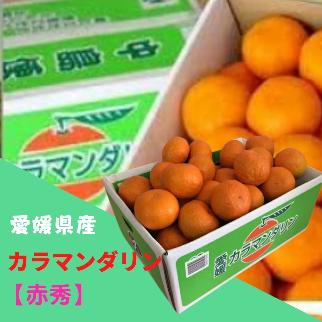 みかん カラマンダリン 【赤秀】 2L〜3Lサイズ(約5kg) JAえひめ中央 ふるさと物産品
