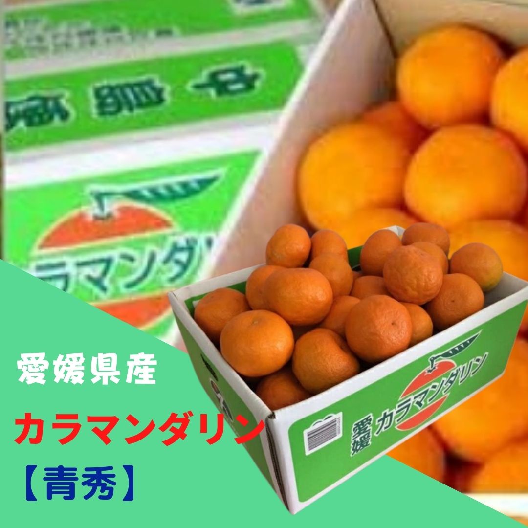 みかん カラマンダリン 【青秀】 2L〜3Lサイズ(約5kg) JAえひめ中央 ふるさと物産品