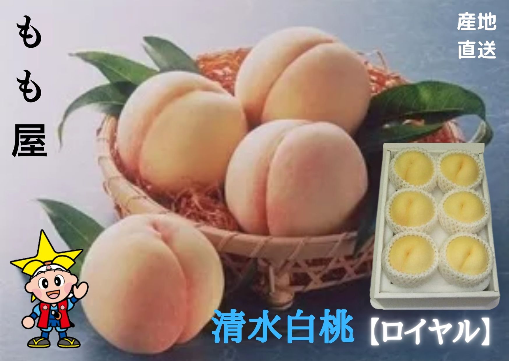 ★予約販売★岡山県産 【清水白桃/ロイヤル】 4〜6個 約1.4kg 糖度12度以上 御礼 御祝 ギフト 誕生日 御供 内祝 御中元【送料無料但し ※別途北海道・沖縄送料1,500円】