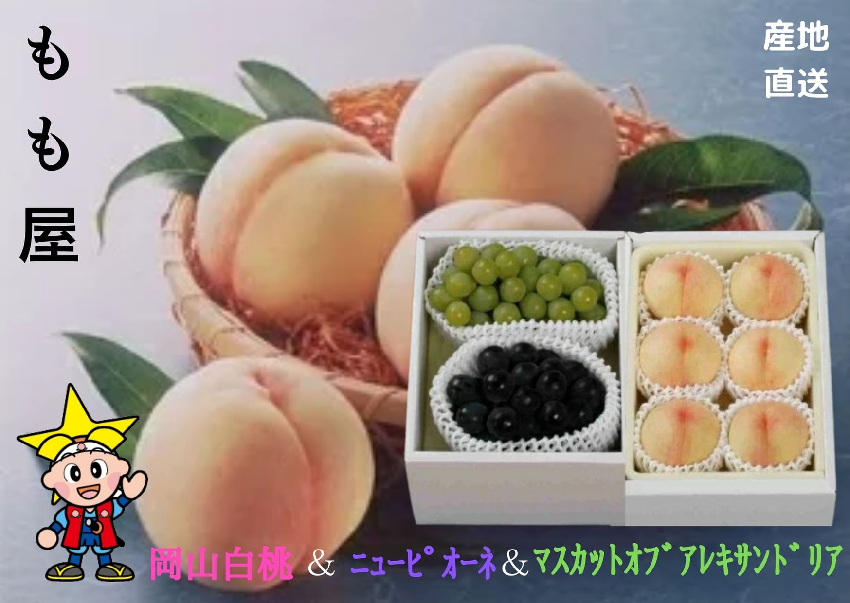 ★予約販売★【産直品】【送料無料】岡山白桃(4〜6個)とアレキサンドリア(1房)とニューピオーネ(1房)詰合せ 御礼 御祝 ギフト 【送料無料 ※北海道・沖縄別途送料1,500円】