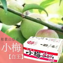 小梅 白王  Lサイズ 約4kg 和歌山県産 ふるさと物産品