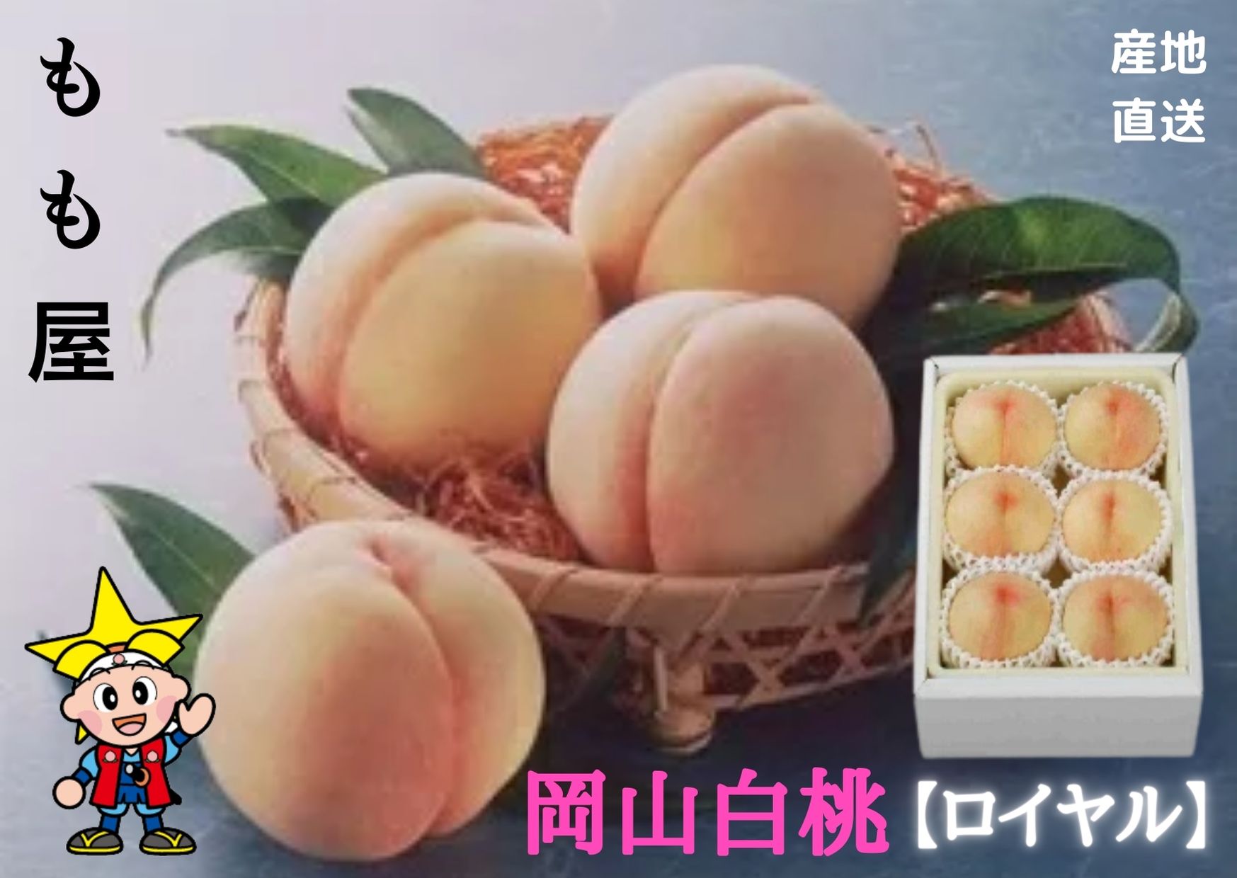 【産直品】お中元【送料無料 】岡山白桃【ロイヤル】 4〜6個 約1.4kg　贈答用　ギフト　御礼　御祝　誕生日　内祝　…