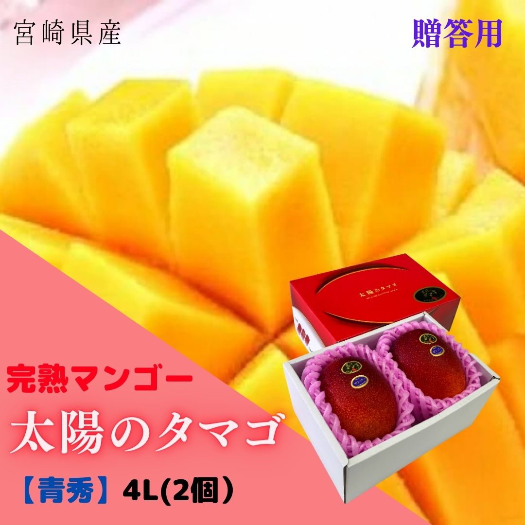 予約販売!「みやざきブランド!」完熟マンゴー「太陽のタマゴ」青秀4L(糖度15度以上)(約510g×2個) 【送料無料 ※但し北海道・沖縄 別途送料1,500円】