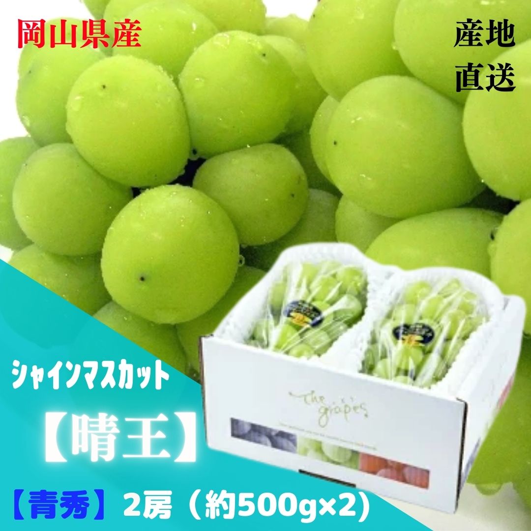 【産直品】ぶどう シャインマスカット晴王 【青秀】 2房(約500g×2) 「 岡山県産」JA全農おかやま