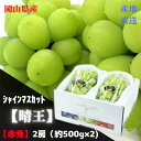 ぶどう 【産直品】ぶどう シャインマスカット晴王 【赤秀】 2房(約500g×2) 「 岡山県産」JA全農おかやま