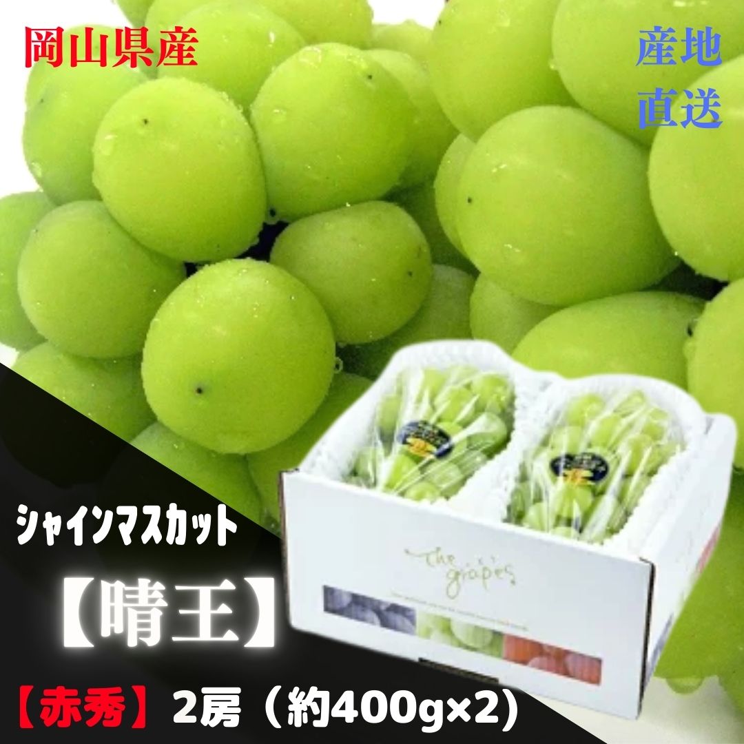 【産直品】ぶどう シャインマスカット晴王 【赤秀】 2房(約400g×2) 「 岡山県産」JA全農おかやま注意；..