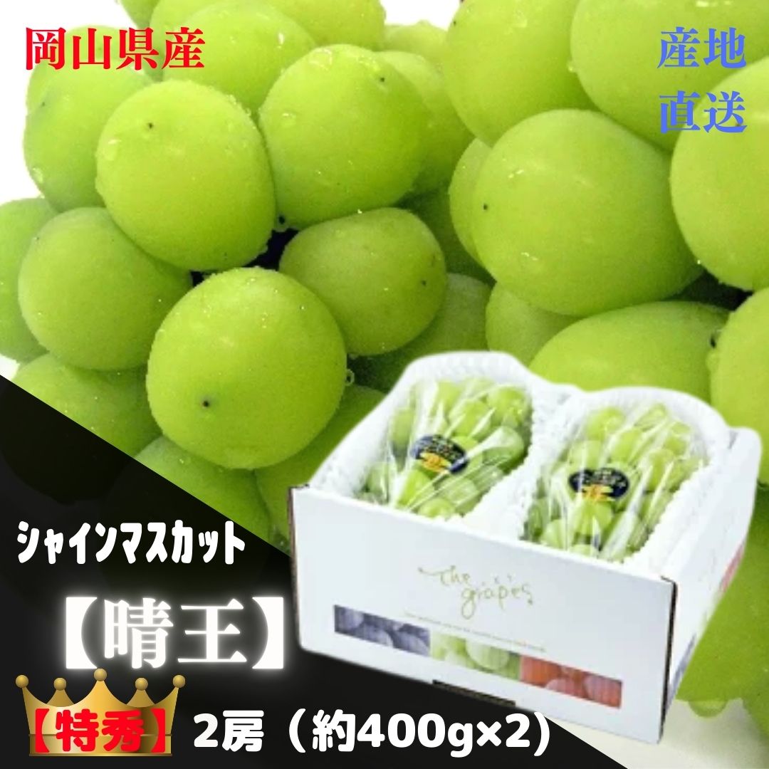 【産直品】ぶどう シャインマスカット晴王 【特秀】 2房(約400g×2) 「 岡山県産」JA全農おかやま 1