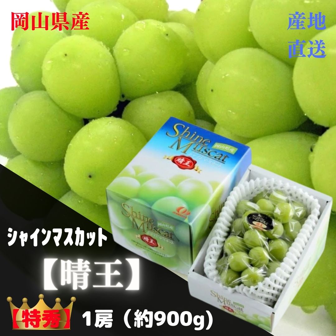 【産直品】ぶどう シャインマスカット晴王 【特秀】 1房(約900g)　　「 岡山県産」JA全農おかやま