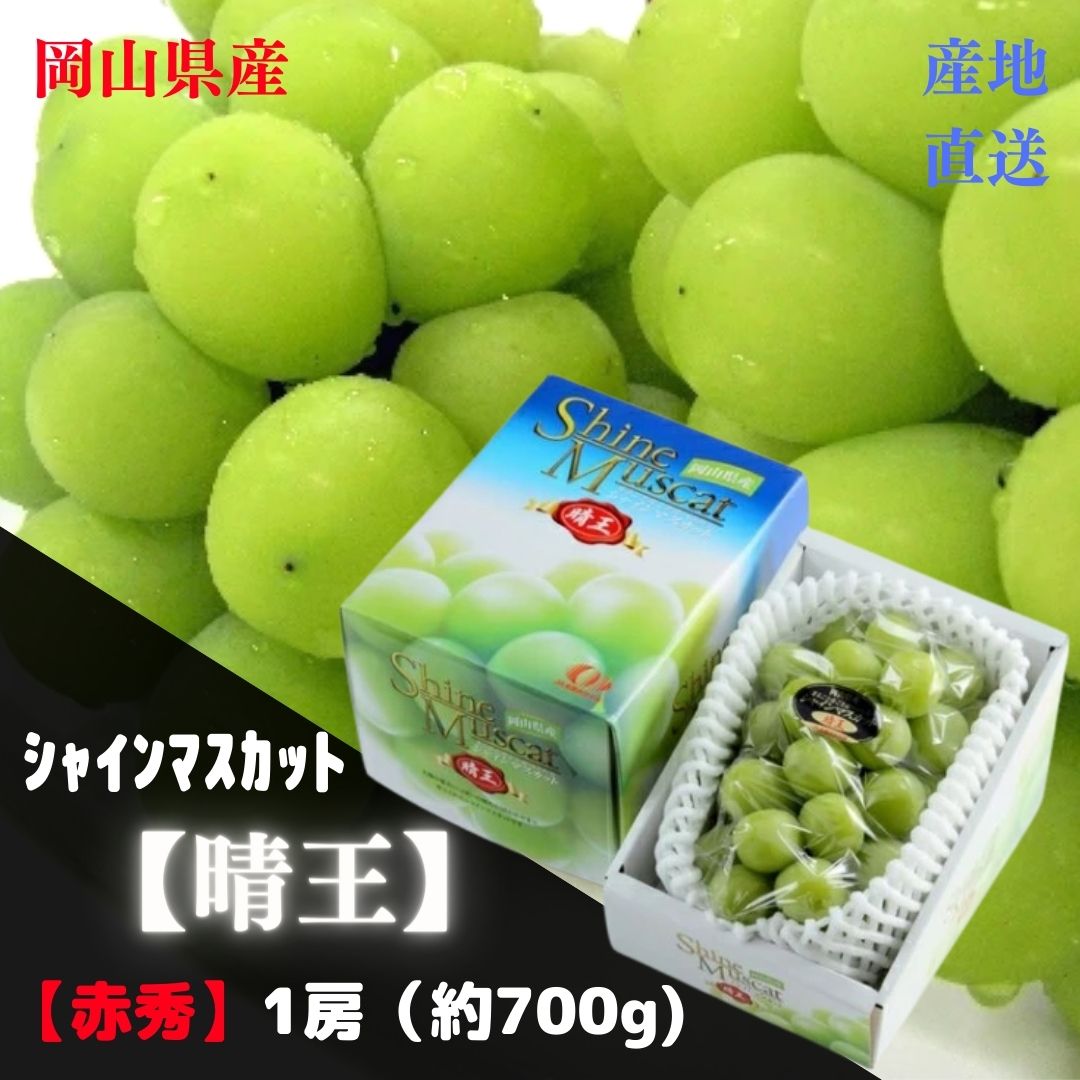 【産直品】ぶどう シャインマスカット晴王 【赤秀】 1房(約700g) 　「 岡山県産」JA全農おかやま