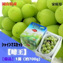 【産直品】ぶどう シャインマスカット晴王 【訳あり!】 1房(約700g) ※注意★訳あり商品の為、返品・交換クレーム不可!【送料無料 但し※別途北海道・沖縄送料1,500円】