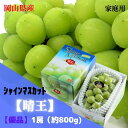 【産直品】ぶどうシャインマスカット晴王 【訳あり】 1房(約700g) ※注意★訳あり商品の為、返品・交換クレーム不可!【送料無料 但し※別途北海道・沖縄送料1,500円】