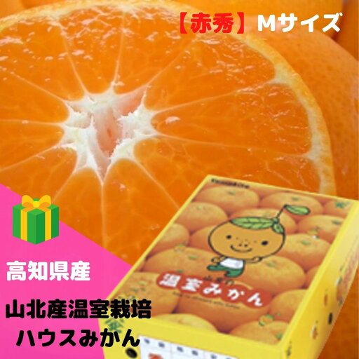 みかん 山北産温室栽培ハウスみかん【赤秀】M(約2.5kg) 高知県 甘さ抜群!【送料無料 ※但し北海道・沖縄別途送料1,500円】 みかん 山北産温室栽培ハウスみかん【赤秀】M(約2.5kg) 高知県 甘さ抜群!【送料無料 ※但し北海道・沖縄別途送料1,500円】