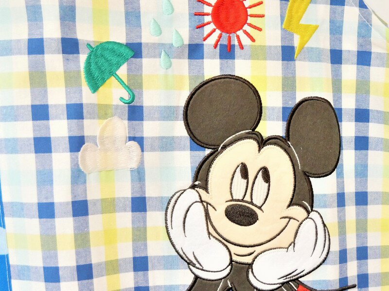 エプロン ミッキーマウス ディズニー キャラクター 保育士 幼稚園 キッチン 大人用 人気 可愛い 刺しゅう アップリケ
