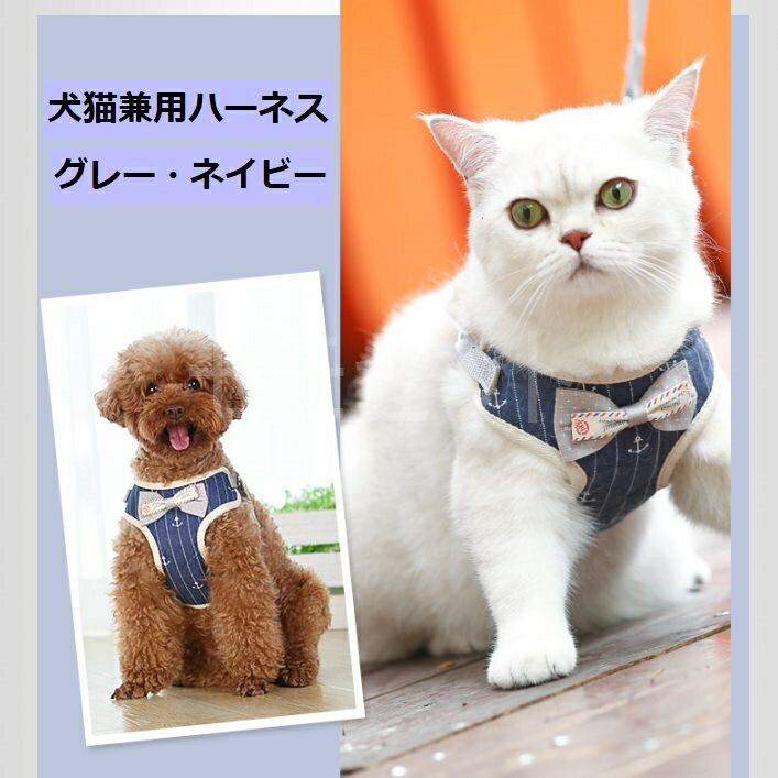 Ͳޤǭѥޥϡͥ꡼ɥåȡ¦åå졼ͥӡSMLƹإ٥ȶƴñĴĳ...
