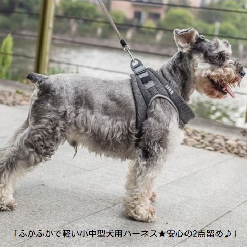 【新価格】ふかふかで軽い小中型犬用ハーネス★安心の2点留め♪XSSMペット用胴輪胸当てベストハーネスマジックテープ装着軽量クッションパピーシニア犬リードなしアウトレット価格