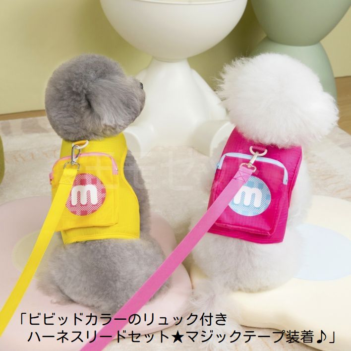 ڿʡۥӥӥåɥ顼Υåդϡͥ꡼ɥåȡޥåơ֥롼åɥSMLڥåƹظ¦å嶻...