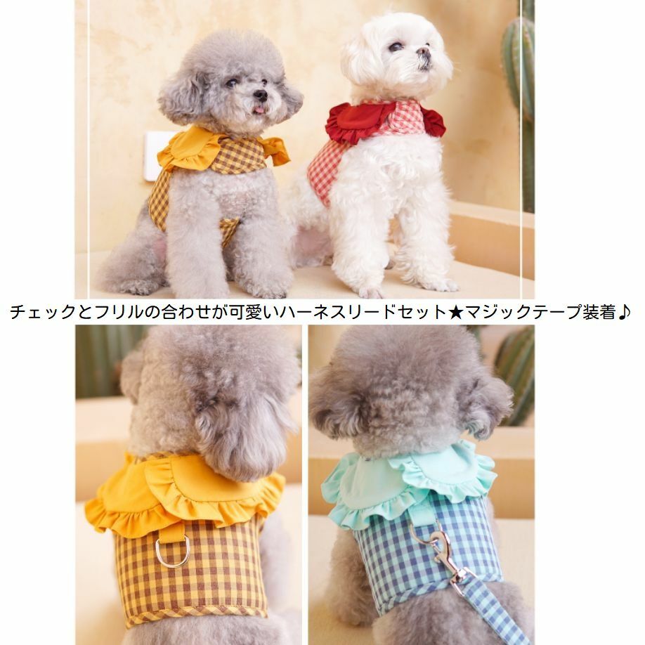 楽天市場】ギンガムチェック（首輪・胴輪・リード｜犬用品