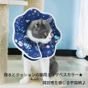 【大人気につき再入荷！3/8】撥水とクッションの猫用エリザベスカラー★開放感を感じる宇宙柄♪SMLエリカラ介護用品傷舐め足舐め防止お手入れ皮膚病術後ケアアウトレット価格 その1