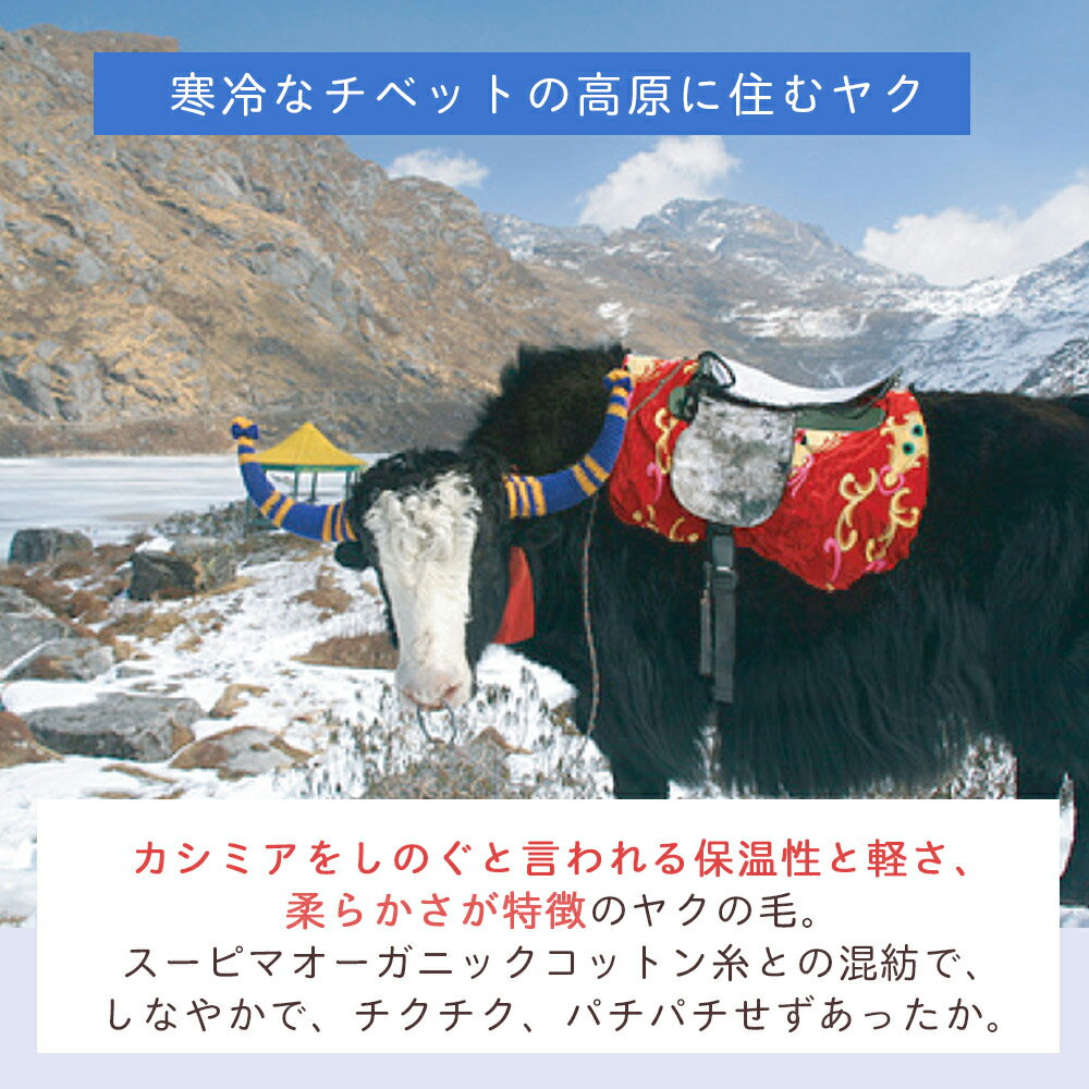 ヤク×オーガニックコットン 日本製 極暖 あったか ベビーベスト 冬 暖かい 子ども 赤ちゃん 綿 ベビー服 男の子 女の子 新生児 日本製 3