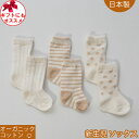 オーガニックコットン ベビー靴下 日本製 男の子 女の子にもおすすめ ボーダー 水玉 シンプルで合わせやすい