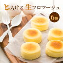 「とろける生フロマージュ」 堂島ロール プレゼント ギフト モンシェール お取り寄せスイーツ お菓子 スイーツ おしゃれ プチギフト チーズ ケーキ チーズケーキ 内祝い 大阪 お土産 お取り寄せ かわいい デパ地下 洋菓子 クリスマス