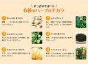 ぱっくん分解酵母 56粒 【楽天倉庫直送】 健康食品 サプリメント スベルティ ダイエット キトサン 酵母 糖質 3