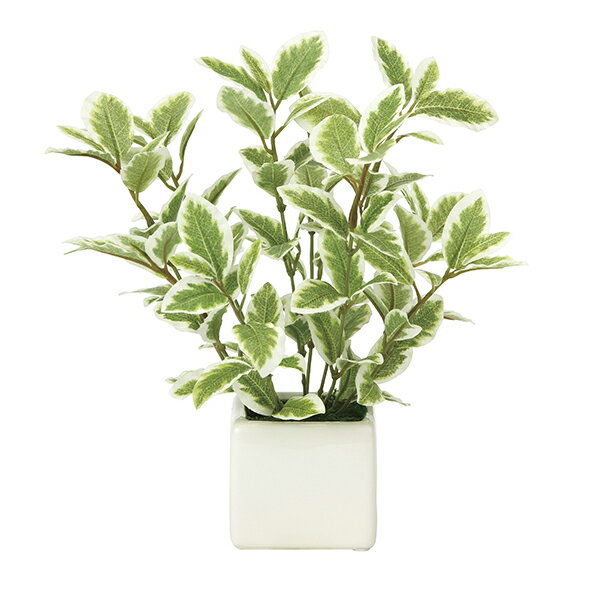 ��ľ���ʡ��紶�ղ��� �ۥߥ˥꡼��G/W 935A25 �����޿͹���ʪ ���γڱ� 2019 W20��D20��H21cm������������ȯ�������礢�ꡦ��åԥ󥰤�ͭ��(�ԲĤξ�礢��)��