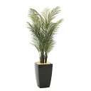 【直送品・大感謝価格 】アーバンアレカパーム1.7 945A580 光触媒人工植物 光の楽園 2019 W70×D65×H170cm