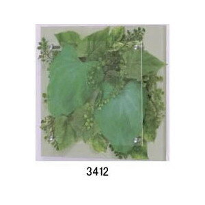 大感謝価格 薄型インテリアグリーン 3412or3413or3414or3415 直送品。代引不可・同梱不可・返品キャンセル・割引不可 観葉植物 壁掛け ディスプレイ 額装 飾る 雑貨 グッズ 薄型インテリアグリーン 3412or3413or3414or3415送料無料