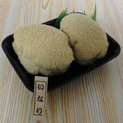 【直送品・大感謝価格】へい、おまち!タオル寿司 いなり TOT0702461 ハンドタオル 綿100% 2個セット