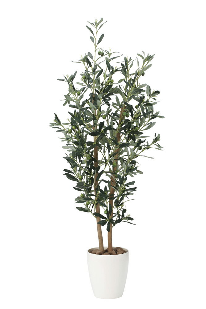 ľʡ紶ղ ۸޿͹ʪ γڱ 2018 ꡼1.2 869A200 W48D37H120cm