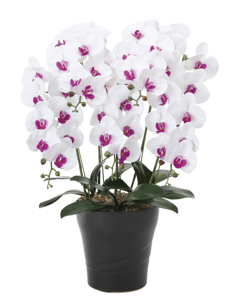 【直送品・大感謝価格 】光触媒人工植物 光の楽園 2018 フレッシュ胡蝶蘭W/L 5本立 876A200 W50×D45×H74cm