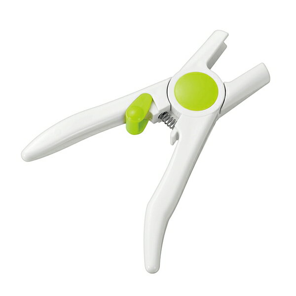 【直送品・大感謝価格】2017 STAGE GIFT CATALOG ステージギフトカタログ FV-608 フルベジ ぎんなん割り 229シリーズ