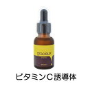 グラシュー エッセンス 25ml ビタミンC誘導体/パワーヒアルロン酸/馬プラセンタ/セラミド/アルブチン/ピクノジェノール/アミノ酸/アクネ化粧品 コスメ スキンケア 美容液 フェイスケア