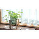 【直送品】アーバンプランツポット マーブル Φ13.5×H12.5 チャコール&ミルク/ミルク&カカオ/シナモン&チャコール/カカオ&チャコール/ミルク&レモン/ミルク&ブルーベリー/ミルク&ピスタチオ/セサミ&レモン/レモン&カカオ/ブルーベリーレモン/ピスタチオカカオ【ヘルシ価格】