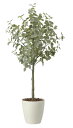 【直送品】ユーカリツリー1.85 組立式 2436A450 W80×D65×H185cm 光触媒人工植物 光の楽園 2024【割引不可品】インテリア 人工観葉植...
