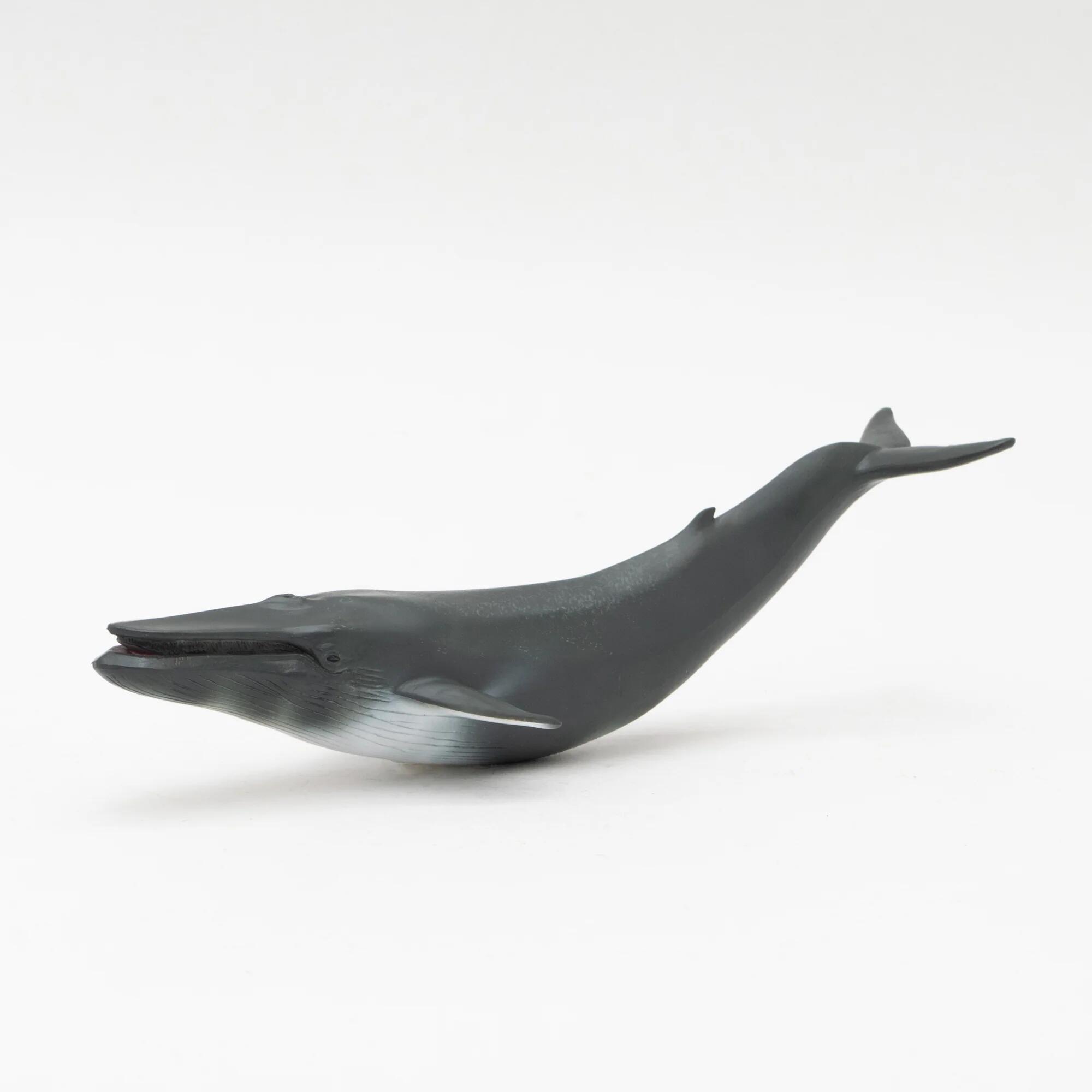 【直送品】シロナガスクジラ ソフトモデル 70613 FM-903 4571279380149 L21.8×W6.8×H9.5cm ダイナソーモデルシリーズ【ヘルシ価格】おもちゃ 玩具 フィギュア 人形 恐竜 ダイナソー ホビー コレクション