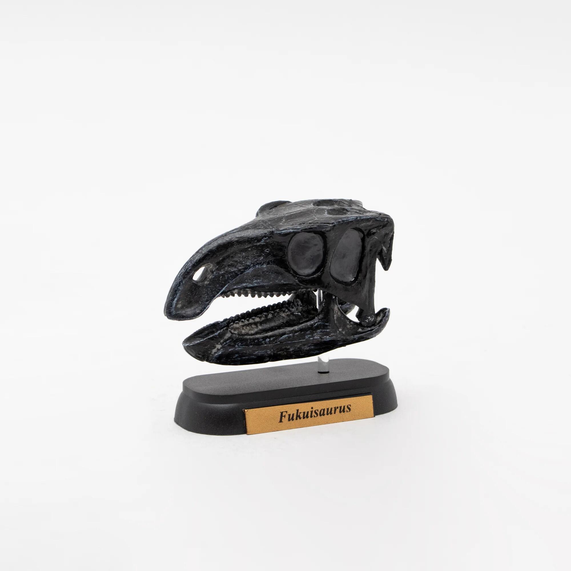 樂天商城 - 【2個セット】【直送品】フクイサウルス スカル ミニモデル 73511 FDW-511 4571279384086 L6.3×W2.8×H5.5cm ダイナソーモデルシリーズ【ヘルシ価格】おもちゃ 玩具 フィギュア 人形 恐竜 ダイナソー ホビー コレクション