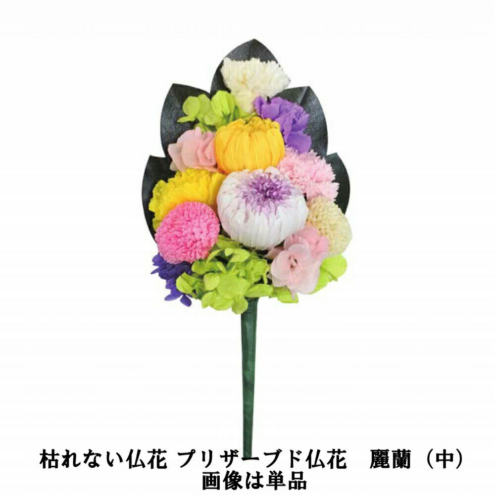 枯れない仏花 プリザーブド仏花　麗蘭（中）花器付【楽天倉庫直送h】 仏具 造花 水やり不要 プリザーブドフラワー 消臭 抗菌