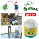 さよならカメちゃん 置きタイプ【楽天倉庫直送h】【ヘルシ価格】 害虫対策 カメムシ除け ミント ハッカ カメムシ防除 忌避剤