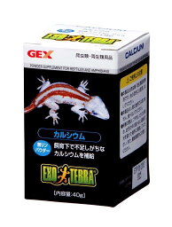 【2個セット】 カルシウム40g x 2個セット【ヘルシ価格】爬虫類 カルシウム パウダー 両生類