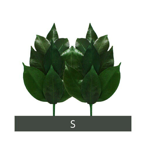 【2個セット】A＆K プリザーブド榊 Sサイズ：FS-002S 1対 x 2【ヘルシ価格】プリザーブド加工 丹波産の..