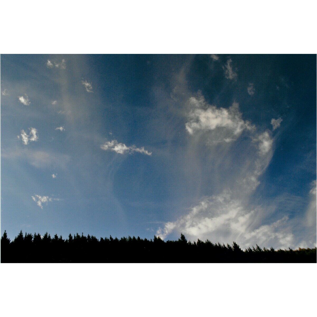 秋元隆良 奇跡の写真 昇龍【ヘルシ価格】秋元隆良 奇跡の写真 昇龍 銀塩生写真 アート 美術装飾品